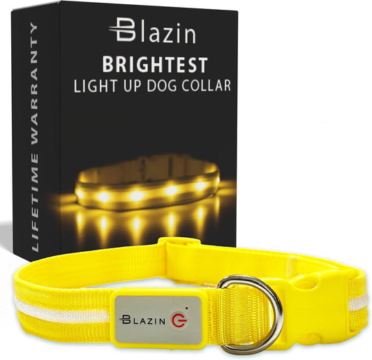 ' Safety LED Dog Collar – USB Rechargeable with Water Resistant Flashing Light